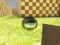 게임 Ball Physics Simulator 온라인
