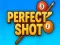 게임 Perfect Shot 온라인