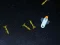 게임 5 Minutes in Space 온라인