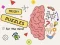 게임 Brain Puzzles Quests 온라인