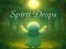 게임 Spirit Drops 온라인