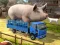 게임 Driver Master Simulator 온라인