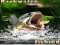 게임 Backwater Fishing 온라인