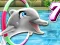 게임 My Dolphin Show 7 온라인