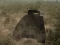 게임 Tank Battle 온라인