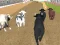 게임 Angry Bull Racing 온라인