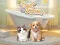 게임 Pet Salon 온라인