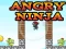 게임 Angry Ninja 온라인