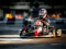 게임 Kart Karting 온라인
