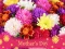 게임 2019 Mother's Day Puzzle 온라인