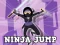 게임 Ninja Jump 온라인