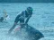 게임 Power Boat Racing 3D 온라인