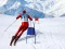 게임 Slalom Ski Simulator 온라인
