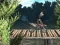 게임 Bike Trial Xtreme Forest 온라인