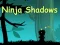 게임 Ninja Shadows 온라인