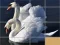 게임 Animals Slide Puzzle 온라인