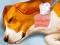 게임 Dog Hospital 온라인