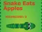 게임 Snake Eats Apples 온라인