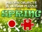게임 Hidjigs Spring 온라인