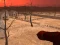 게임 Wasteland Shooters 온라인