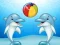 게임 Dolphin Show 온라인