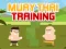 게임 Muay Thai Training 온라인