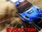 게임 Nitro Rally Evolution 온라인