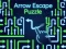 게임 Arrow Escape Puzzle 온라인