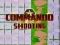 게임 Commando Shooting 온라인