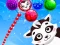게임 Raccoon Rescue 온라인
