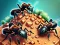 게임 Ant Colony 온라인