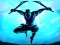 게임 Shadow Ninja Revenge 온라인