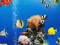 게임 Sea Underwater Difference 온라인