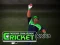 게임 Cricket Fielder Challenge 온라인