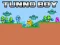 게임 Tunno Boy 온라인