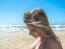 게임 Summer Beach & Girls 온라인