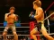게임 MMA Fighters Jigsaw 온라인