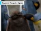 게임 Emperor Penguin Jigsaw 온라인