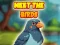 게임 Meet The Birds 온라인