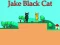 게임 Jake Black Cat 온라인