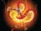 게임 Chinese Dragons Coloring 온라인