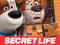 게임 The Secret Life of Pets Jigsaw Puzzle 온라인