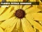 게임 Flower Petals Raindrop Jigsaw 온라인