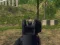 게임 Army Shooter 온라인