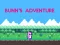 게임 Bunn's Adventure 온라인