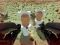 게임 Shooting Survival Skibidi Toilet 온라인