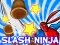 게임 Slash Ninja 온라인