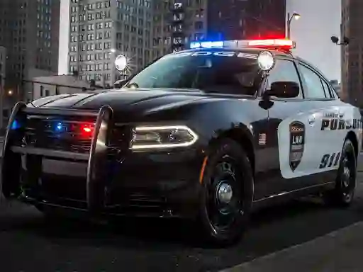 게임 Police Cars Slide 온라인