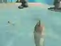 게임 Shark Simulator Beach Killer 온라인