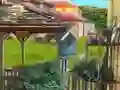 게임 Backyard Makeover 온라인